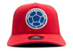 Gorra Selección Colombia Oficial FCF Deportiva FCFD-0224 - Image 2